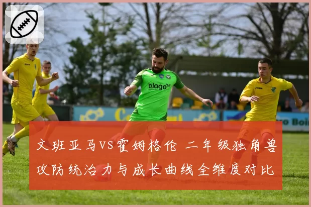 文班亚马vs霍姆格伦 二年级独角兽攻防统治力与成长曲线全维度对比